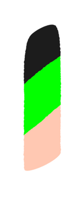 color palette